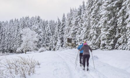 découvrez l'âge idéal pour commencer le ski et les bienfaits de cette activité sur le développement physique et mental. apprenez comment les compétences en ski évoluent avec l'âge et trouvez des conseils pour initier les jeunes skieurs en toute sécurité.