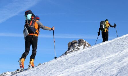 découvrez l'univers passionnant du ski : des conseils pour débutants, les meilleures stations, des équipements essentiels et des astuces pour profiter pleinement des pistes. préparez-vous à vivre des moments inoubliables sur les sommets enneigés !