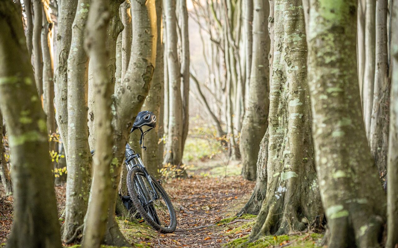 découvrez les nombreux avantages du vélo stationnaire pour votre santé et votre forme physique. améliorez votre endurance, brûlez des calories et tonifiez vos muscles tout en profitant d'un entraînement pratique et efficace à domicile.