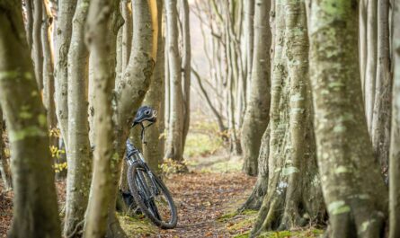 découvrez les nombreux avantages du vélo stationnaire pour votre santé et votre forme physique. améliorez votre endurance, brûlez des calories et tonifiez vos muscles tout en profitant d'un entraînement pratique et efficace à domicile.